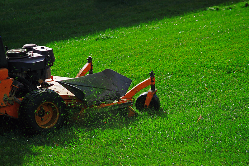 Landscape Maintenance 4
