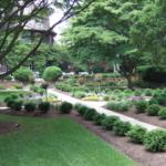 Maintaining Your Home’s Landscape