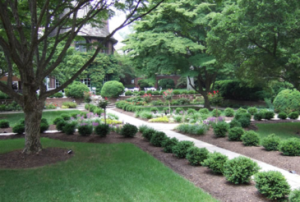 Read more about the article Maintaining Your Home’s Landscape