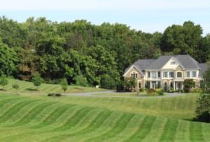 Read more about the article Sustainable Landscaping