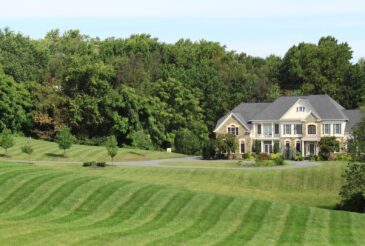 Read more about the article Sustainable Landscaping