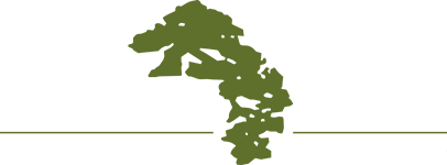 Dooley-Pyne Landscape Corporation, Inc.